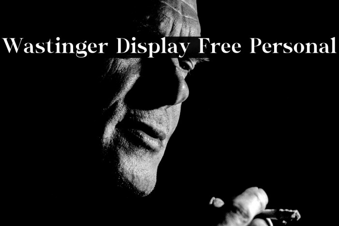 Wastinger Display Free Personal Example 3