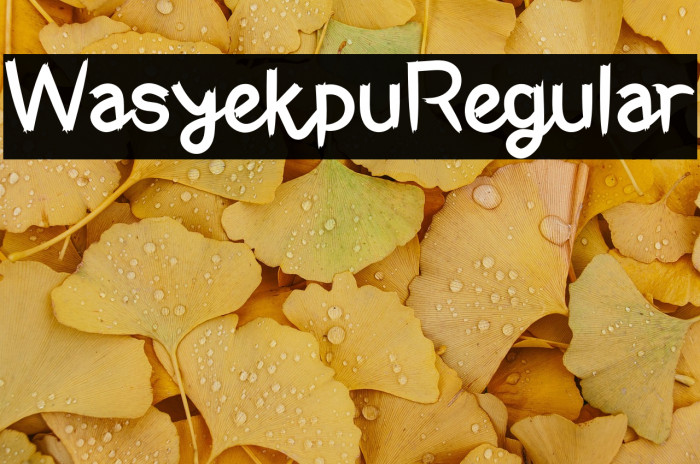 WasyekpuRegular Example 1
