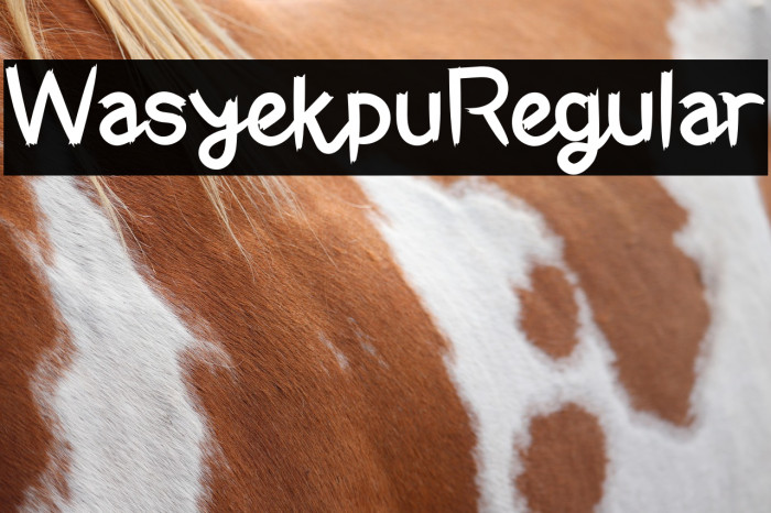 WasyekpuRegular Example 2