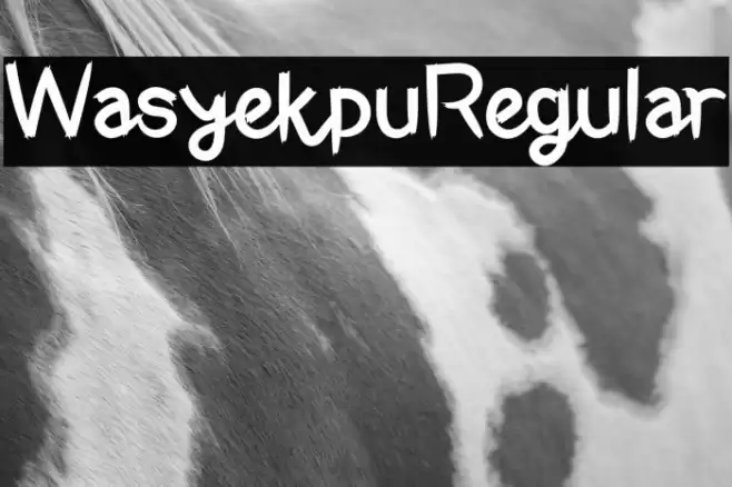 WasyekpuRegular Font examples