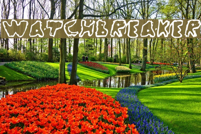 WatchBreaker Polices examples