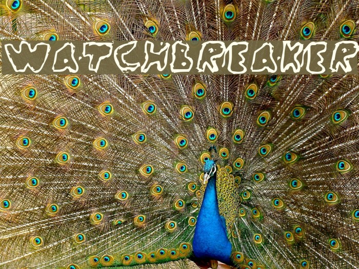 WatchBreaker Polices examples