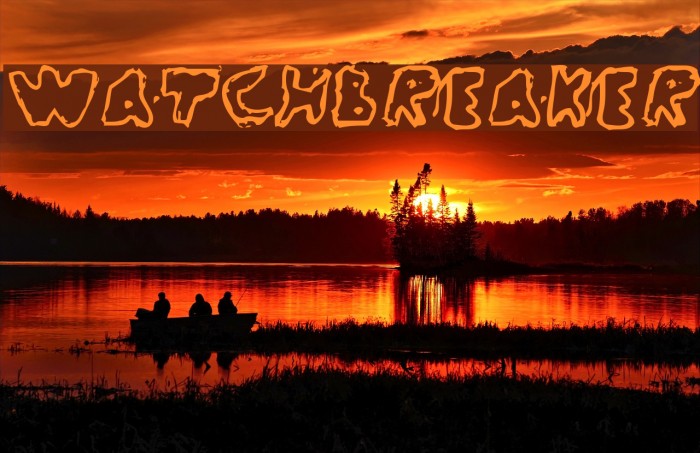 WatchBreaker Polices examples