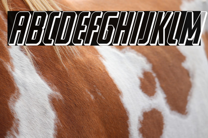 Watchtower 3D Italic Example 3