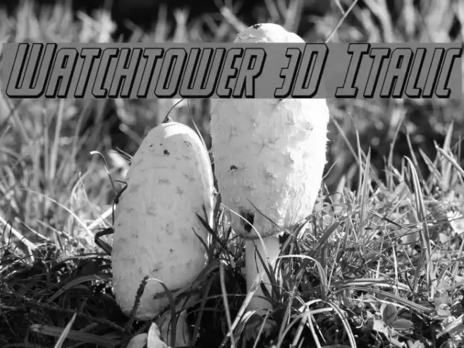 Watchtower 3D Italic examples
