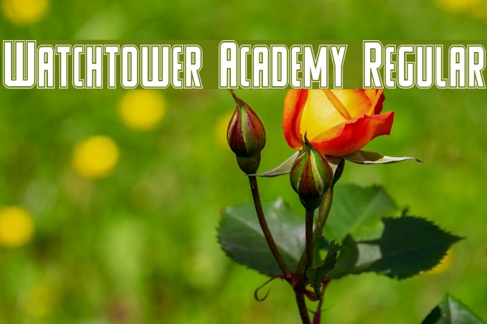 Watchtower Academy Regular Font examples