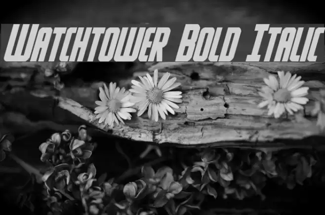 Watchtower Bold Italic Font examples
