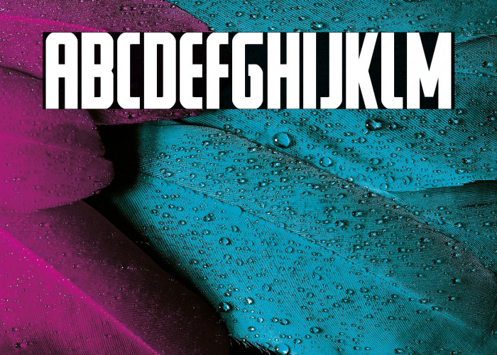 Watchtower Bold Example 3