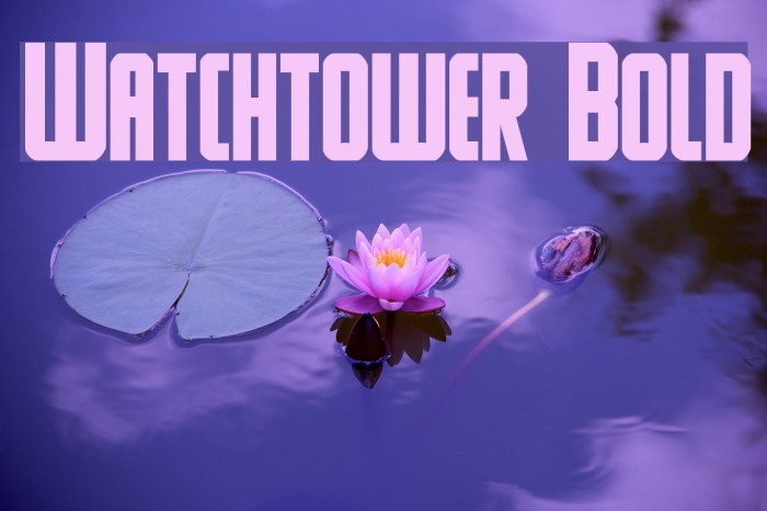 Watchtower Bold Font examples