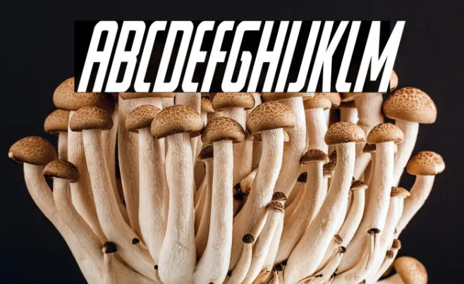 Watchtower Condensed Italic Example 1