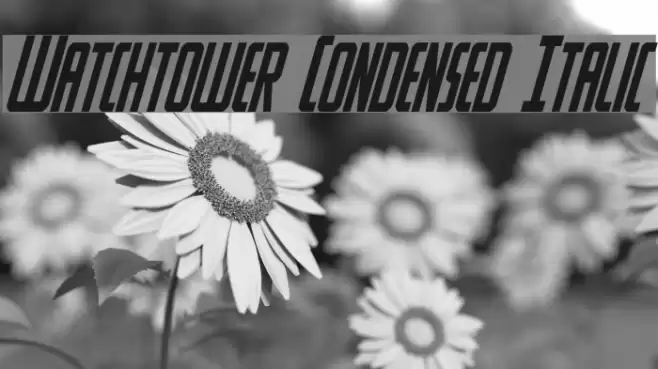 Watchtower Condensed Italic फ़ॉन्ट examples