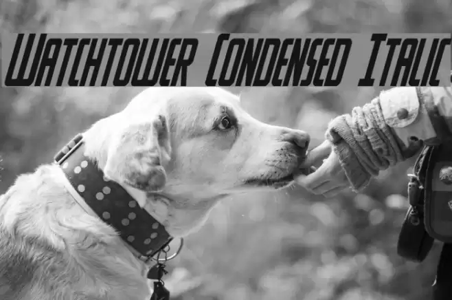 Watchtower Condensed Italic फ़ॉन्ट examples