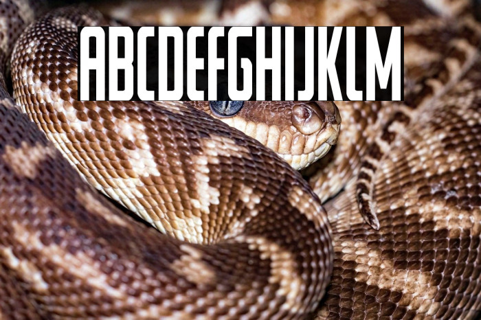 Watchtower Condensed Example 1