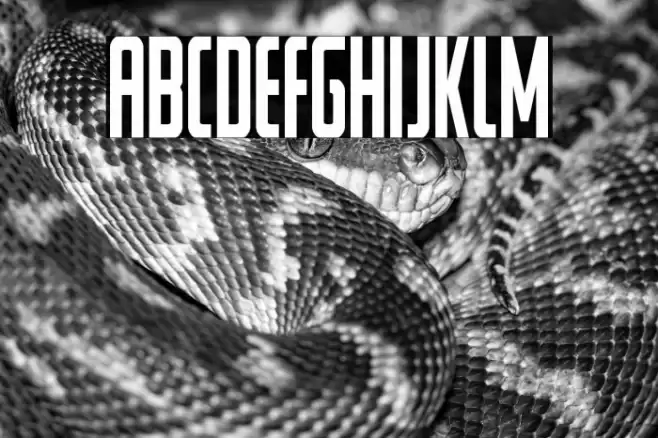 Watchtower Condensed Font examples