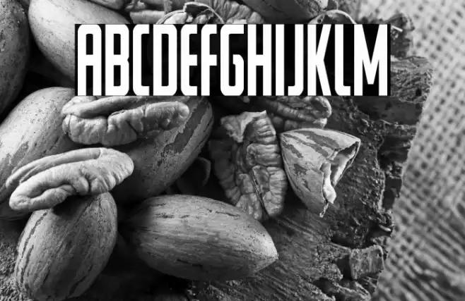 Watchtower Condensed Font examples