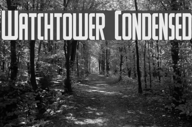 Watchtower Condensed Font examples