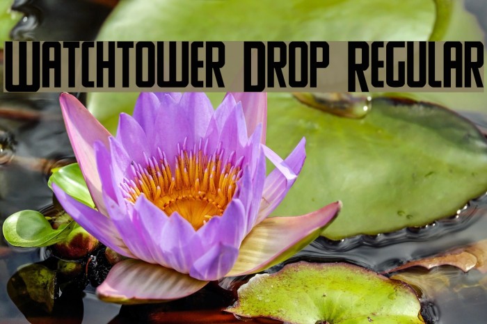 Watchtower Drop Regular Font examples