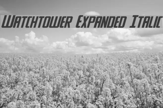 Watchtower Expanded Italic Font examples