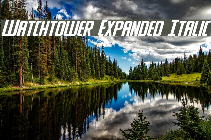 Watchtower Expanded Italic Font examples