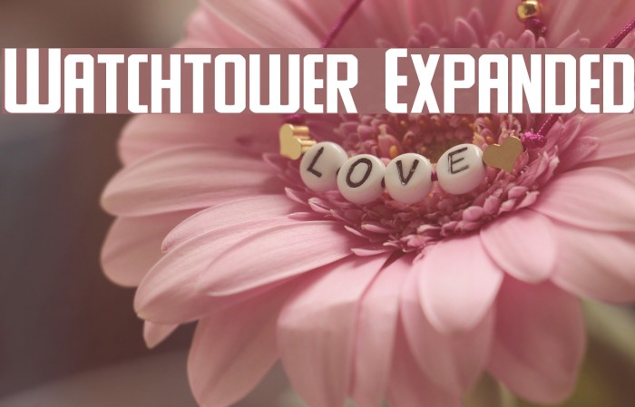 Watchtower Expanded Example 1