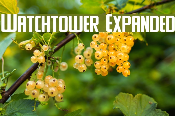 Watchtower Expanded Example 2