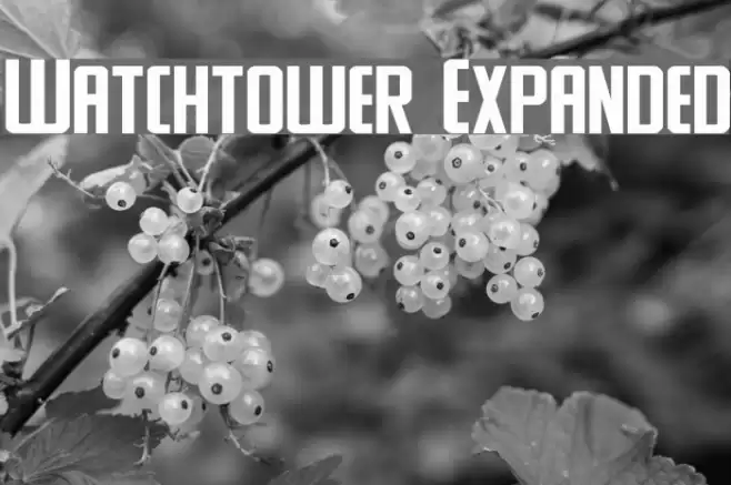 Watchtower Expanded Font examples