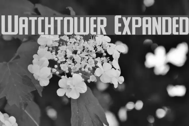 Watchtower Expanded Font examples