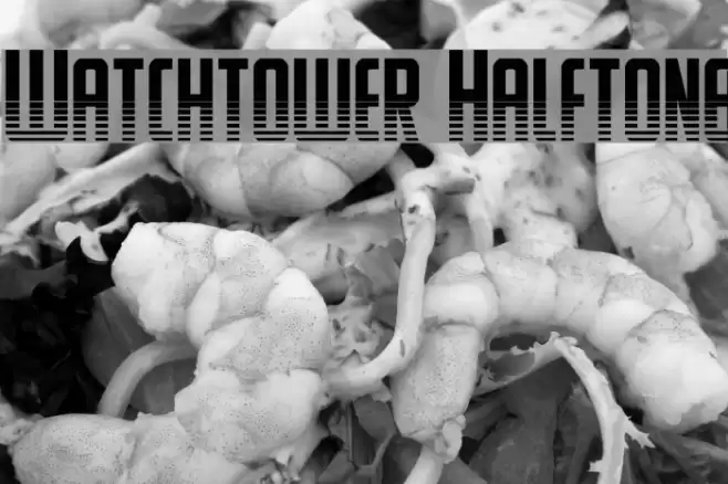 Watchtower Halftone Font examples