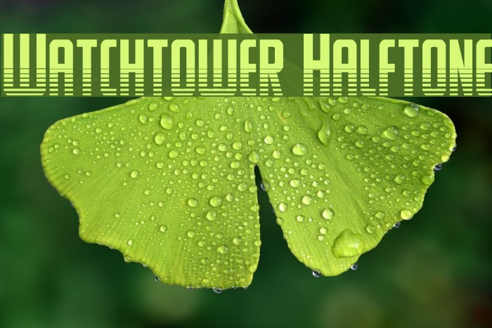 Watchtower Halftone Example 2