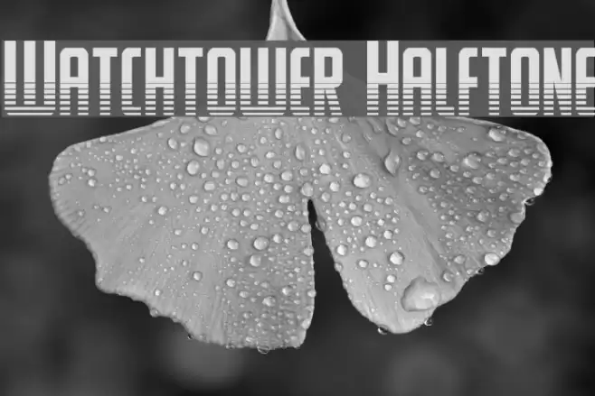 Watchtower Halftone Font examples