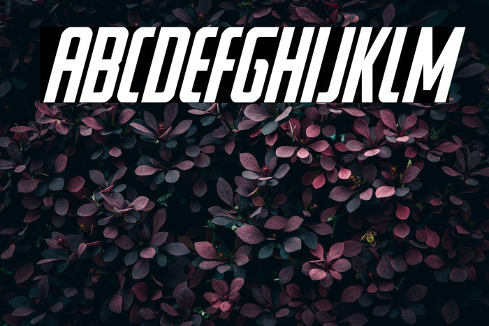 Watchtower Italic Example 1