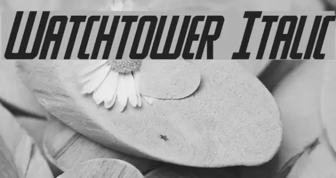 Watchtower Italic Font examples