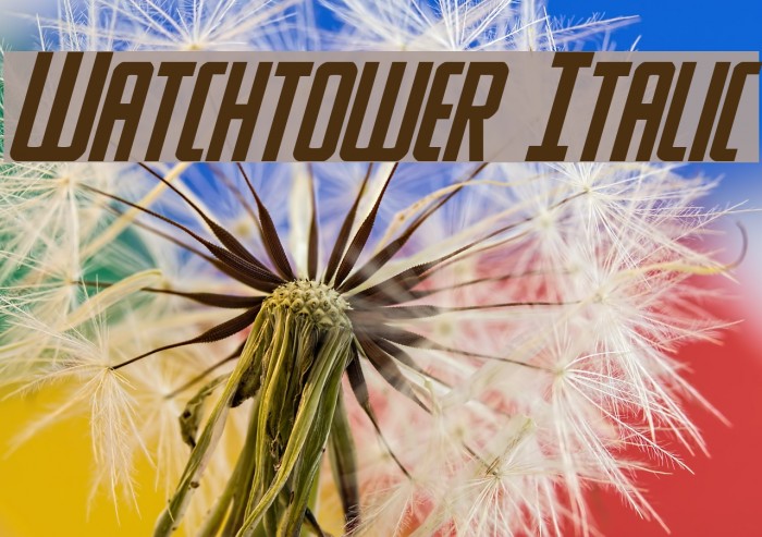 Watchtower Italic Font examples