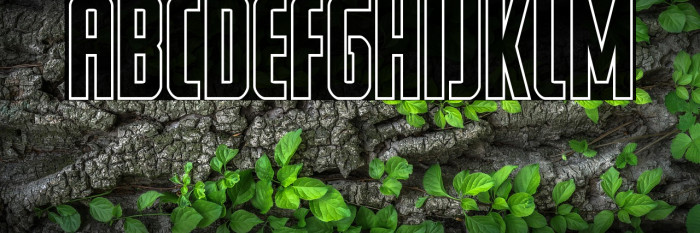 Watchtower Outline Example 3