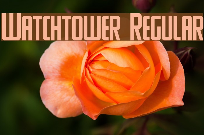 Watchtower Regular Font examples