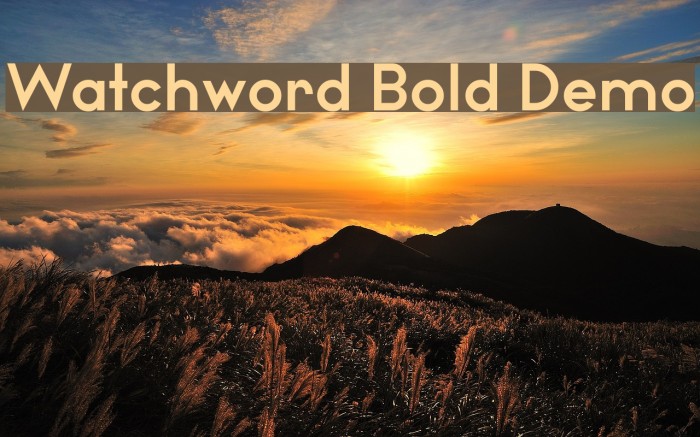 Watchword Bold Demo Font examples