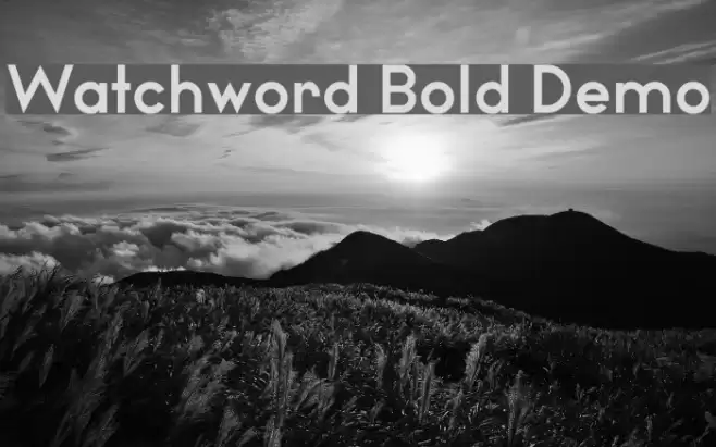 Watchword Bold Demo Caratteri examples