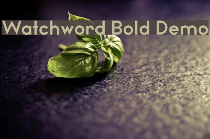 Watchword Bold Demo Font examples