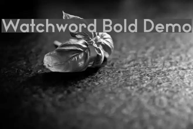 Watchword Bold Demo Caratteri examples