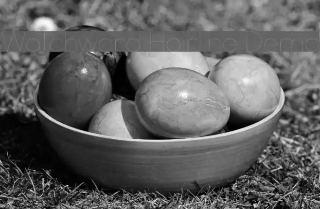 Watchword Hairline Demo Font examples