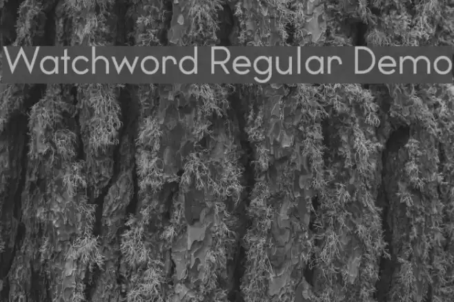 Watchword Regular Demo Font examples