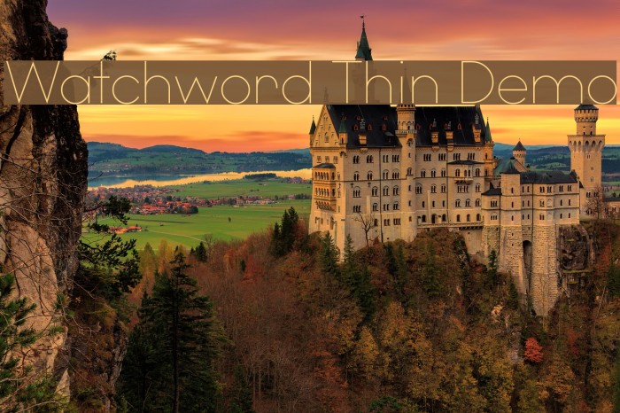 Watchword Thin Demo Font examples