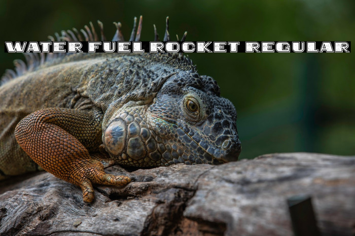 Water Fuel Rocket Regular Example 3