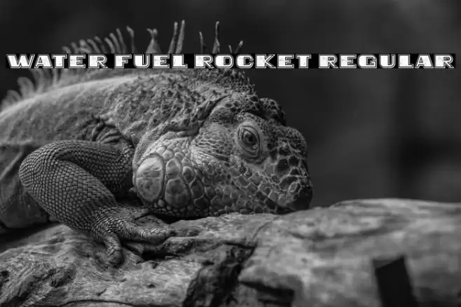Water Fuel Rocket Regular Font examples