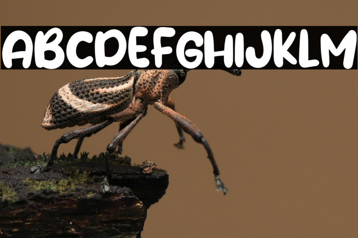 Water Galon Example 1