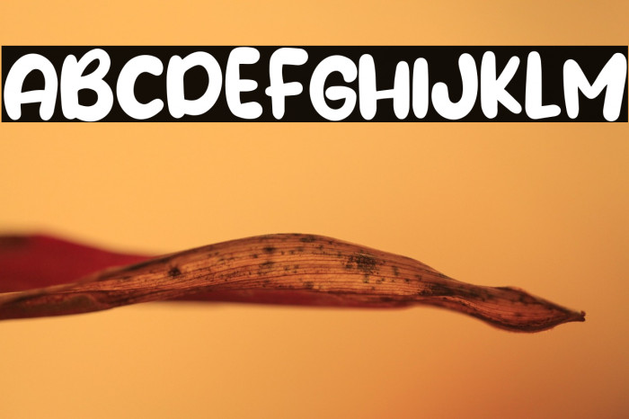 Water Galon Example 3