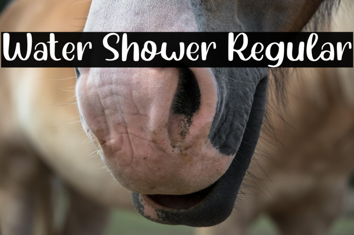 Water Shower Regular Example 1