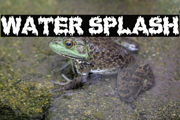 Water Splash Example 3