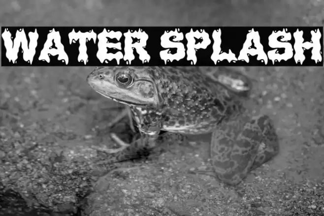 Water Splash Font examples