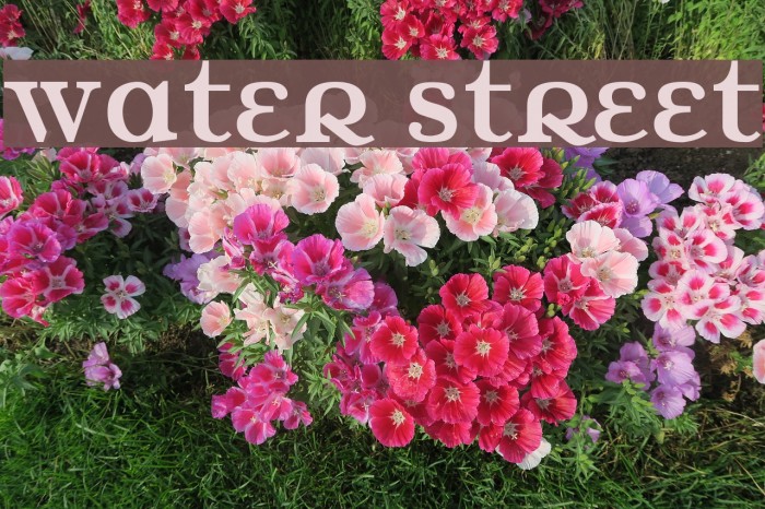 Water Street Font examples